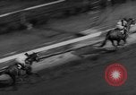 Image of New York Handicap Triple New York United States USA, 1961, second 34 stock footage video 65675055899