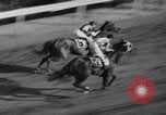 Image of Kentucky Derby Kentucky United States USA, 1936, second 42 stock footage video 65675055905