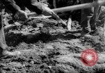 Image tremblement de terre El Marj Libye, 1963, de la seconde 52 séquences d'archives historiques vidéo 65675055906