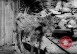 Image tremblement de terre El Marj Libye, 1963, de la seconde 56 séquences d'archives historiques vidéo 65675055906