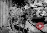 Image tremblement de terre El Marj Libye, 1963, de la seconde 57 séquences d'archives historiques vidéo 65675055906