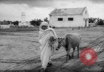 Image tremblement de terre El Marj Libye, 1963, de la seconde 58 séquences d'archives historiques vidéo 65675055906