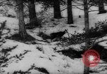 Immagine di Animali alpini Europa Alpi, 1963, secondo 8 filmato di repertorio 65675055907