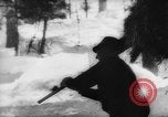 Immagine di Animali alpini Europa Alpi, 1963, secondo 25 filmato di repertorio 65675055907