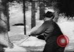 Immagine di Animali alpini Europa Alpi, 1963, secondo 27 filmato di repertorio 65675055907