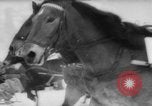 Immagine di Sport invernali Austria, 1963, secondo 1 filmato di repertorio 65675055911