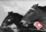 Immagine di Sport invernali Austria, 1963, secondo 3 filmato di repertorio 65675055911
