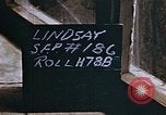 Image of VE day end of  World War 2 in Germany Germany, 1945, second 3 stock footage video 65675055931
