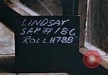 Image of VE day end of  World War 2 in Germany Germany, 1945, second 4 stock footage video 65675055931