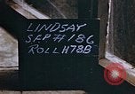 Image of VE day end of  World War 2 in Germany Germany, 1945, second 5 stock footage video 65675055931