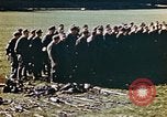 Image of VE day end of  World War 2 in Germany Germany, 1945, second 60 stock footage video 65675055931