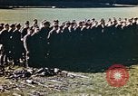 Image of VE day end of  World War 2 in Germany Germany, 1945, second 61 stock footage video 65675055931