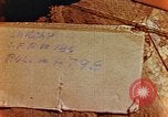 Image of Prisoners Concentration camp Wiesbaden Germany, 1945, second 1 stock footage video 65675055933