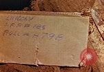 Image of Prisoners Concentration camp Wiesbaden Germany, 1945, second 3 stock footage video 65675055933