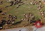 Image of Prisoners Concentration camp Wiesbaden Germany, 1945, second 50 stock footage video 65675055933