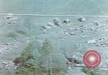 Image of Concentration camp Wiesbaden Germany, 1945, second 10 stock footage video 65675055934