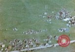 Image of Concentration camp Wiesbaden Germany, 1945, second 21 stock footage video 65675055934