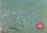 Image of Concentration camp Wiesbaden Germany, 1945, second 27 stock footage video 65675055934