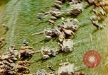 Image of concentration camp Wiesbaden Germany, 1945, second 7 stock footage video 65675055935
