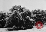 Image of heavy snowfall California United States USA, 1957, second 12 stock footage video 65675055943