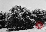 Image of heavy snowfall California United States USA, 1957, second 13 stock footage video 65675055943
