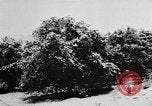 Image of heavy snowfall California United States USA, 1957, second 14 stock footage video 65675055943