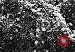 Image of heavy snowfall California United States USA, 1957, second 17 stock footage video 65675055943