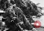 Image of heavy snowfall California United States USA, 1957, second 24 stock footage video 65675055943