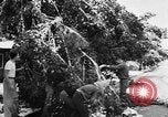 Image of heavy snowfall California United States USA, 1957, second 25 stock footage video 65675055943