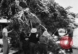 Image of heavy snowfall California United States USA, 1957, second 26 stock footage video 65675055943
