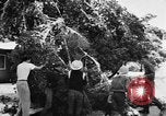 Image of heavy snowfall California United States USA, 1957, second 27 stock footage video 65675055943