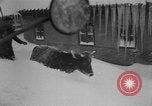 Image of heavy snowfall California United States USA, 1957, second 43 stock footage video 65675055943