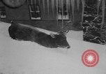 Image of heavy snowfall California United States USA, 1957, second 45 stock footage video 65675055943