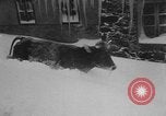 Image of heavy snowfall California United States USA, 1957, second 46 stock footage video 65675055943