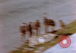 Image of United States Airmen Nuremberg Germany, 1945, second 46 stock footage video 65675055957
