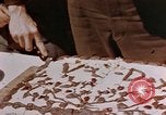 Image of Victory in Europe Day celebration Germany, 1945, second 59 stock footage video 65675055960