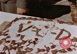 Image of Victory in Europe Day celebration Germany, 1945, second 62 stock footage video 65675055960
