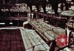 Immagine di Bomba ha danneggiato sports palace Berlino Germania, 1945, secondo 19 filmato di repertorio 65675055971