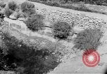 Immagine di Legione Straniera francese Taza Marocco, 1955, secondo 15 filmato di repertorio 65675055985