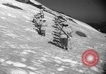 Immagine di Turco truppe di sci Turchia, 1948, secondo 49 filmato di repertorio 65675055995
