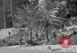 Immagine di Le truppe francesi Il Nord Africa, 1954, secondo 52 filmato di repertorio 65675055996