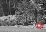 Immagine di Le truppe francesi Il Nord Africa, 1954, secondo 54 filmato di repertorio 65675055996