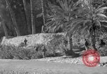Immagine di Le truppe francesi Il Nord Africa, 1954, secondo 55 filmato di repertorio 65675055996