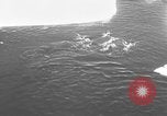 Image Opération Deep Freeze peu d'Amérique de l'Antarctique, 1955, de la seconde 13 séquences d'archives historiques vidéo 65675056004