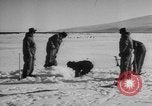 Image Opération Deep Freeze peu d'Amérique de l'Antarctique, 1955, de la seconde 29 séquences d'archives historiques vidéo 65675056004