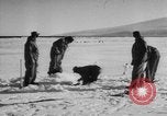 Image Opération Deep Freeze peu d'Amérique de l'Antarctique, 1955, de la seconde 30 séquences d'archives historiques vidéo 65675056004
