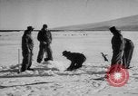 Image Opération Deep Freeze peu d'Amérique de l'Antarctique, 1955, de la seconde 32 séquences d'archives historiques vidéo 65675056004