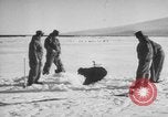 Image Opération Deep Freeze peu d'Amérique de l'Antarctique, 1955, de la seconde 33 séquences d'archives historiques vidéo 65675056004