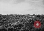 Image of French forces Algeria, 1954, second 13 stock footage video 65675056012