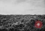 Image of French forces Algeria, 1954, second 14 stock footage video 65675056012